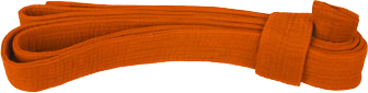 Оранжевый пояс