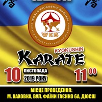 Открытый чемпионат Херсонской области по киокушин каратэ в г. Каховка.