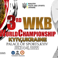 Чемпионат Мира по Киокушин БуДо каратэ WKB в разделе 