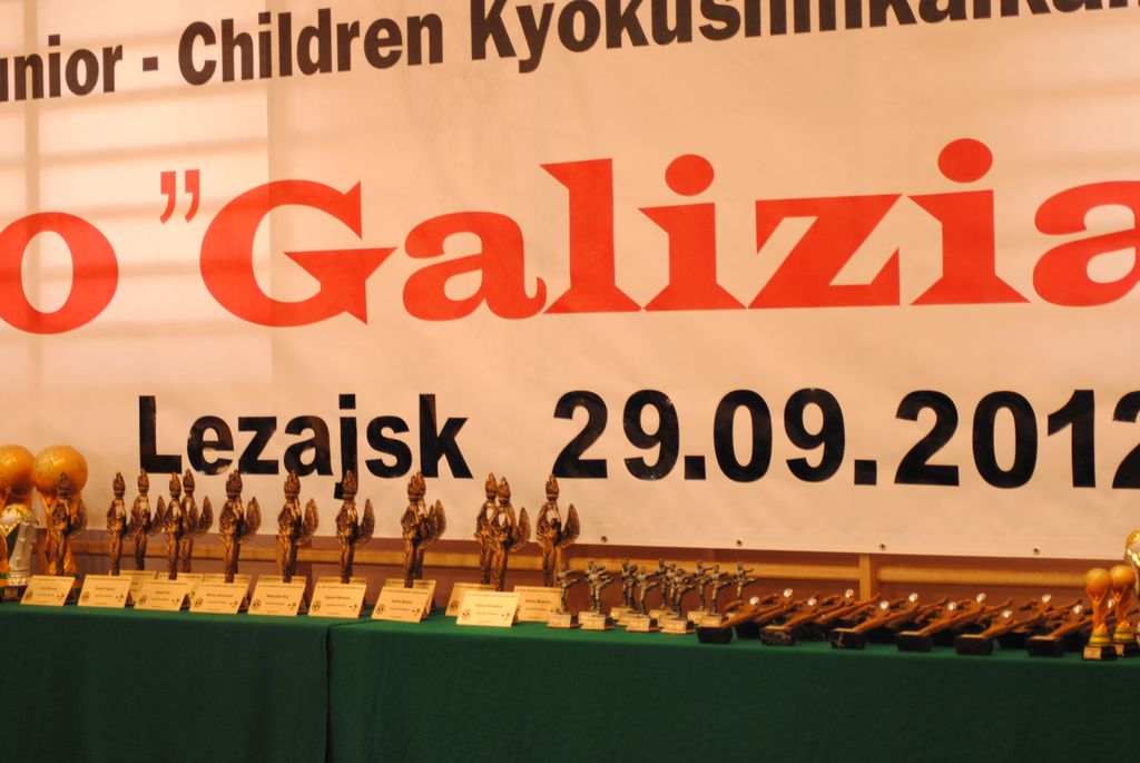 Galizia Cup 2012 - Международный турнир по киокушин карате (IKO1), Фото №151