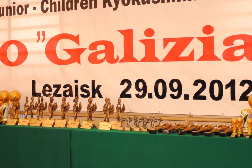 Galizia Cup 2012 - Международный турнир по киокушин карате (IKO1), Фото №148