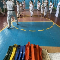495592010_1886436508775033_2103934525784660223_n.jpg