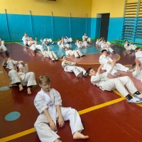 Image-2.jpg
