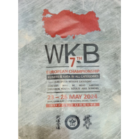 7 - й Чемпіонат Європи / 24 - 26.05.2024